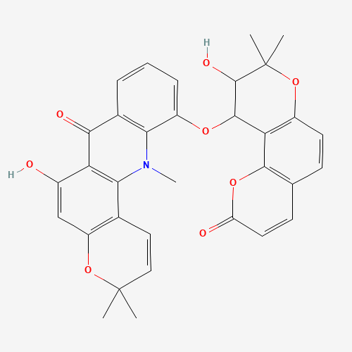 Click to see the large picture