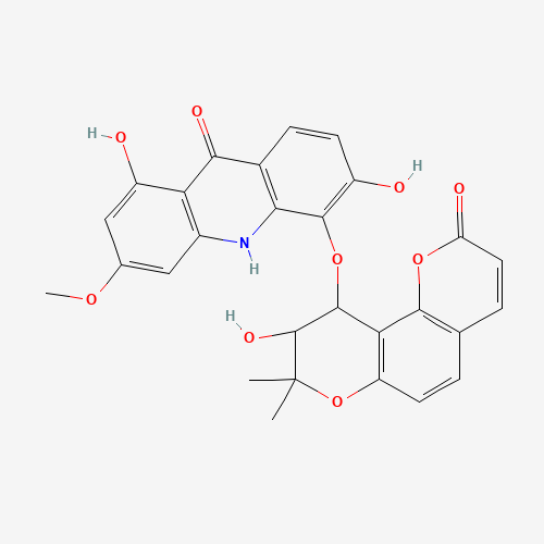 Click to see the large picture