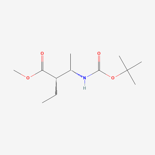 Click to see the large picture