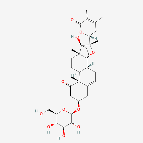 Click to see the large picture