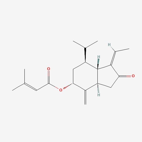 Click to see the large picture