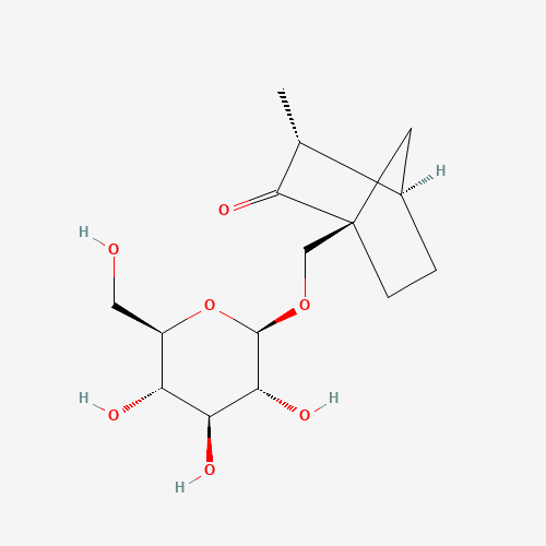 Click to see the large picture