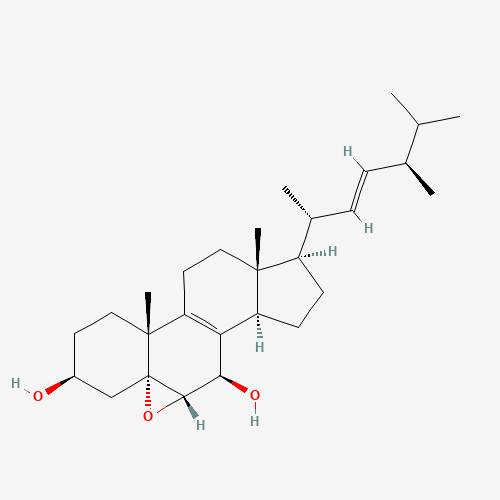 Click to see the large picture