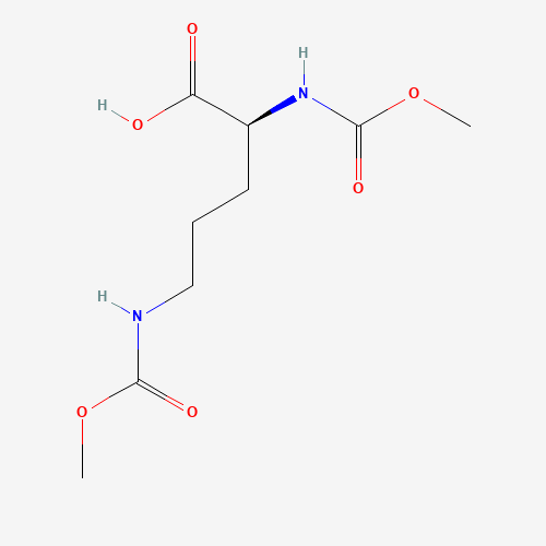 Click to see the large picture