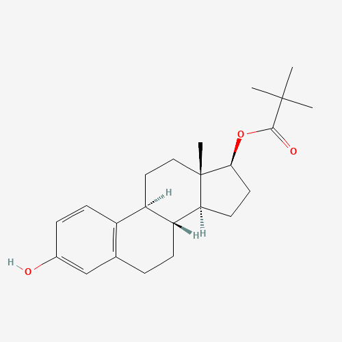 Click to see the large picture