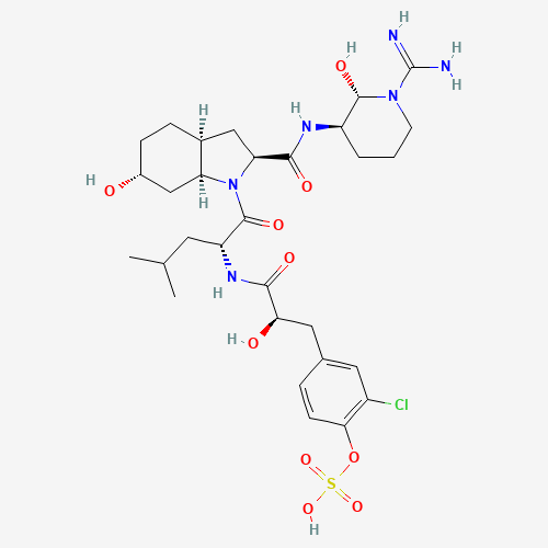 Click to see the large picture