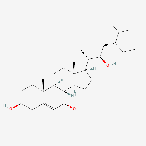 Click to see the large picture