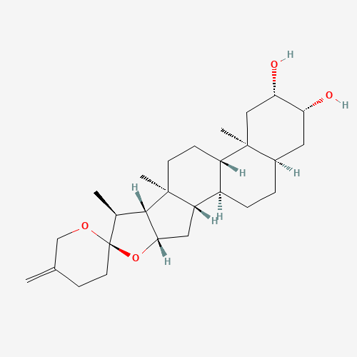 Click to see the large picture