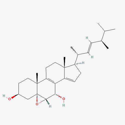 Click to see the large picture