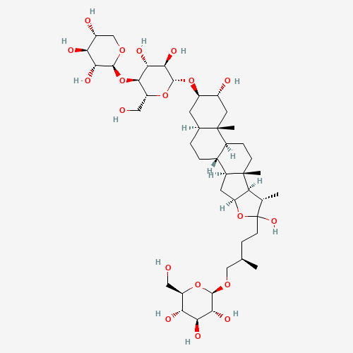 Click to see the large picture