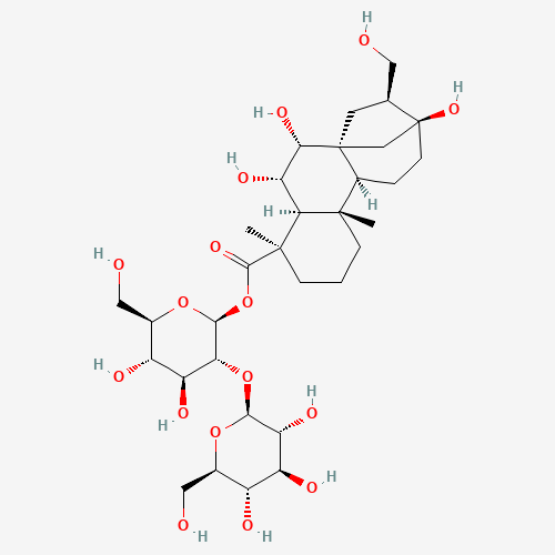 Click to see the large picture