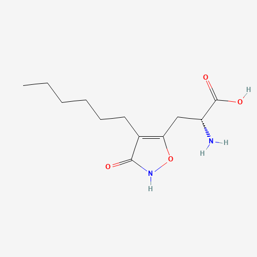 Click to see the large picture