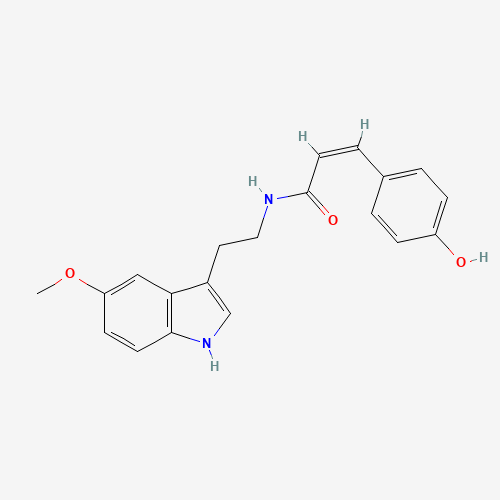 Click to see the large picture