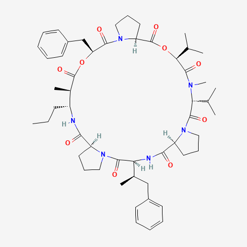 Click to see the large picture