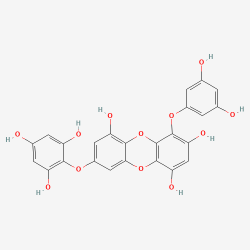 Click to see the large picture