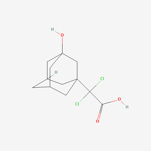 Click to see the large picture