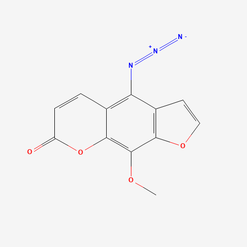 Click to see the large picture