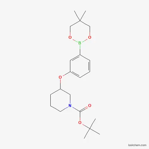 Molecular Structure of 2096997-07-6 (Tert-butyl 3-[3-(5,5-dimethyl-1,3,2-dioxaborinan-2-YL)phenoxy]piperidine-1-carboxylate)