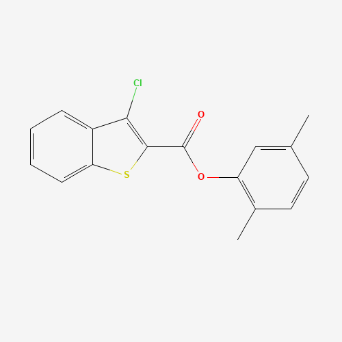 Click to see the large picture