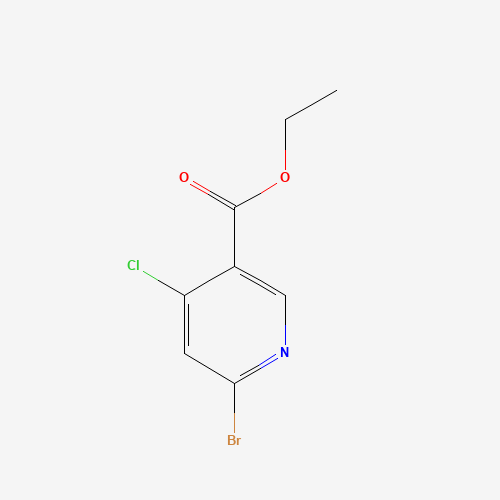 ethyl 6-broMo-4-chloronicotinate