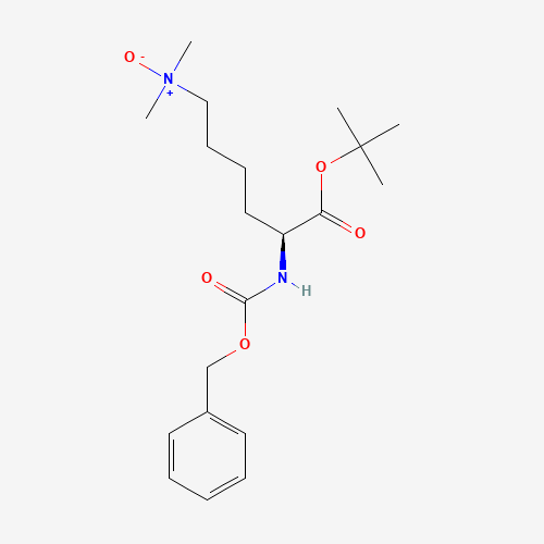 Click to see the large picture