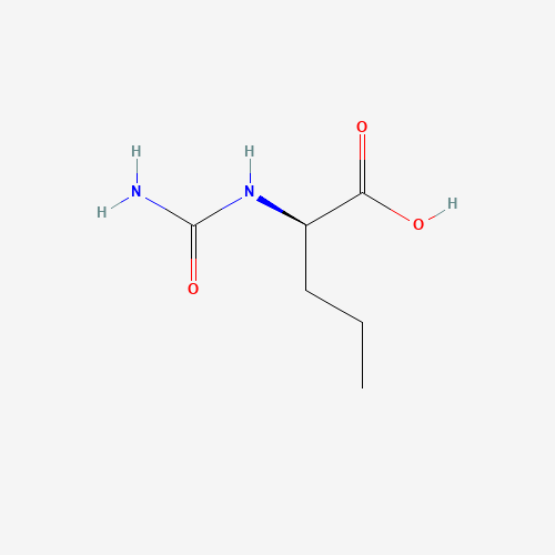 Click to see the large picture