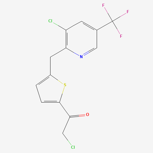 Click to see the large picture