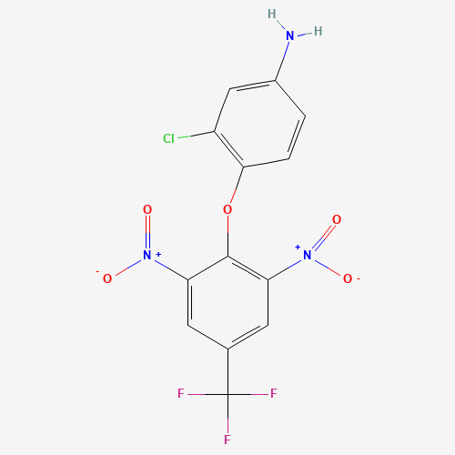 Click to see the large picture