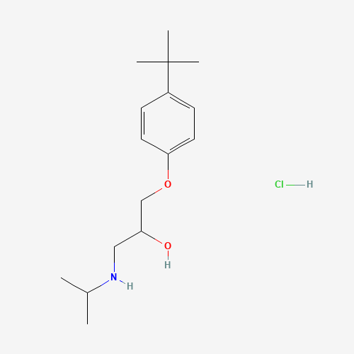 Click to see the large picture