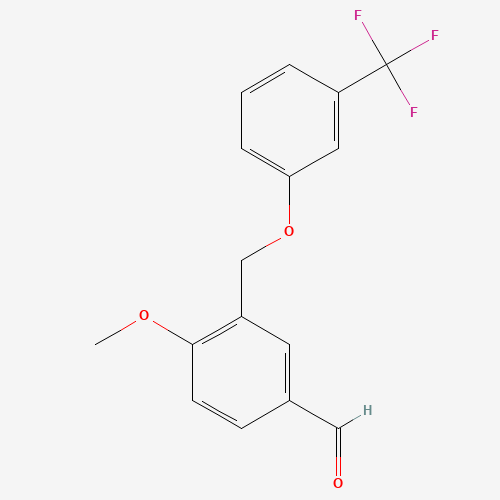 Click to see the large picture