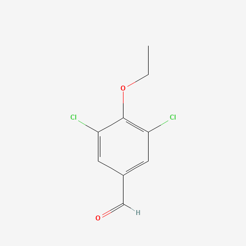 Click to see the large picture