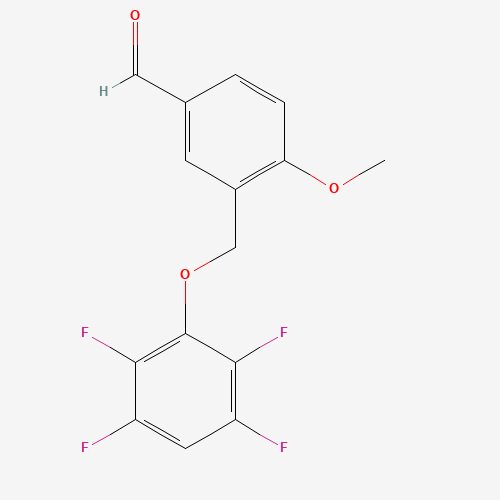 Click to see the large picture