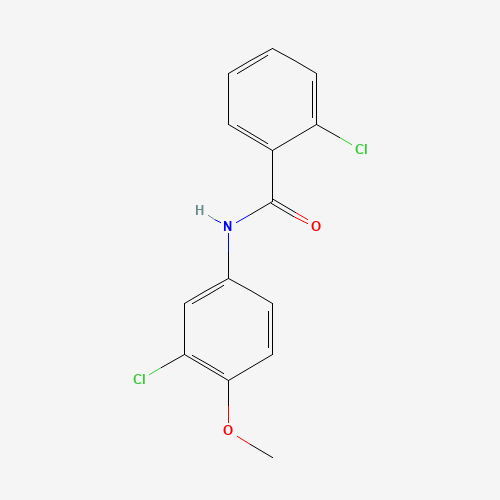 Click to see the large picture