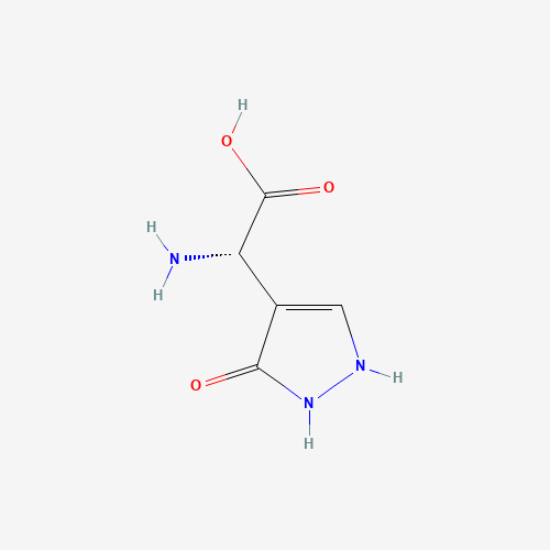 Click to see the large picture