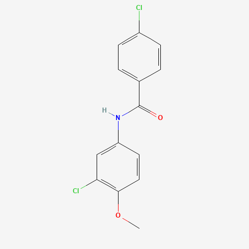 Click to see the large picture