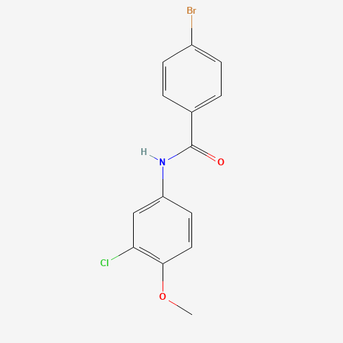 Click to see the large picture