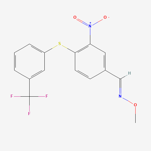 Click to see the large picture