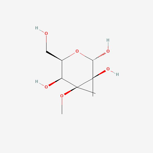 Click to see the large picture