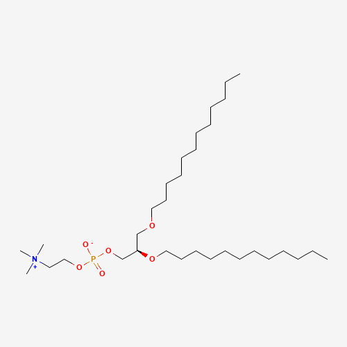 1,2-di-0-dodecyl-sn-glycero-3-phosphocholine(72593-72-7)