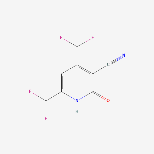 Click to see the large picture