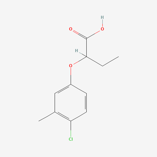 Click to see the large picture