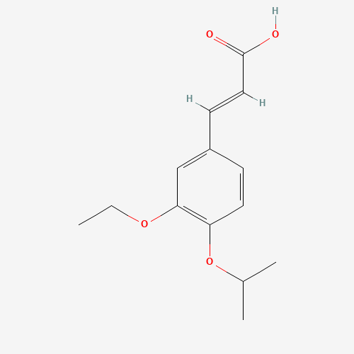 Click to see the large picture