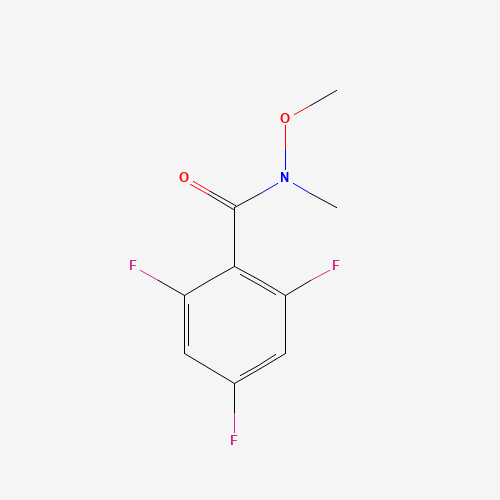 Click to see the large picture