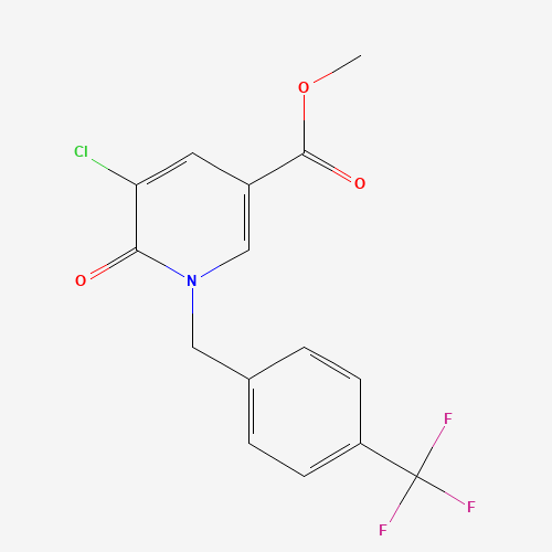 Click to see the large picture