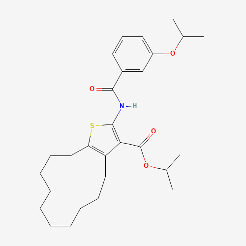 Click to see the large picture