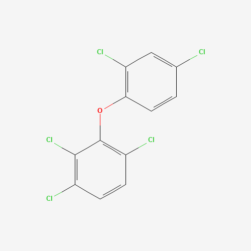 Click to see the large picture