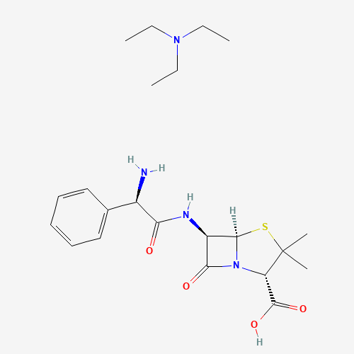 Click to see the large picture