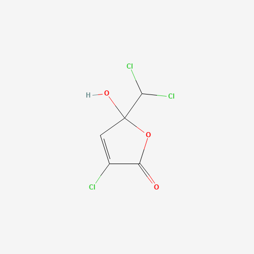 Click to see the large picture