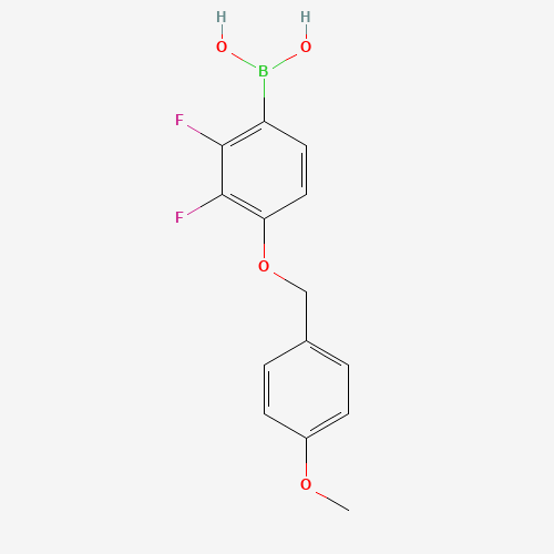 Click to see the large picture