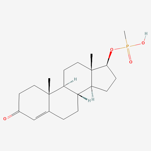 Click to see the large picture